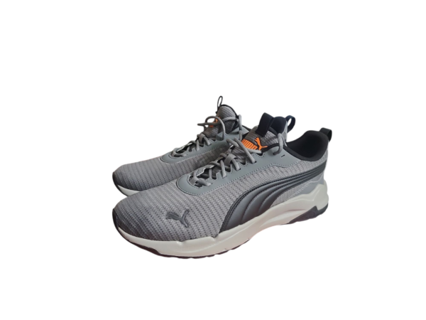 Puma - Image 2