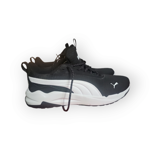 Puma - Image 7