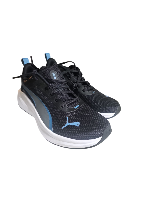 Puma - Image 4