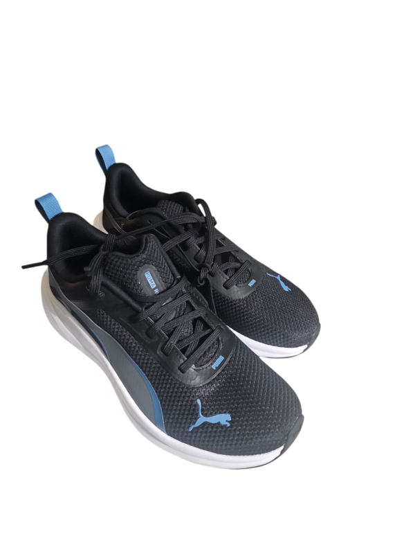 Puma - Image 3